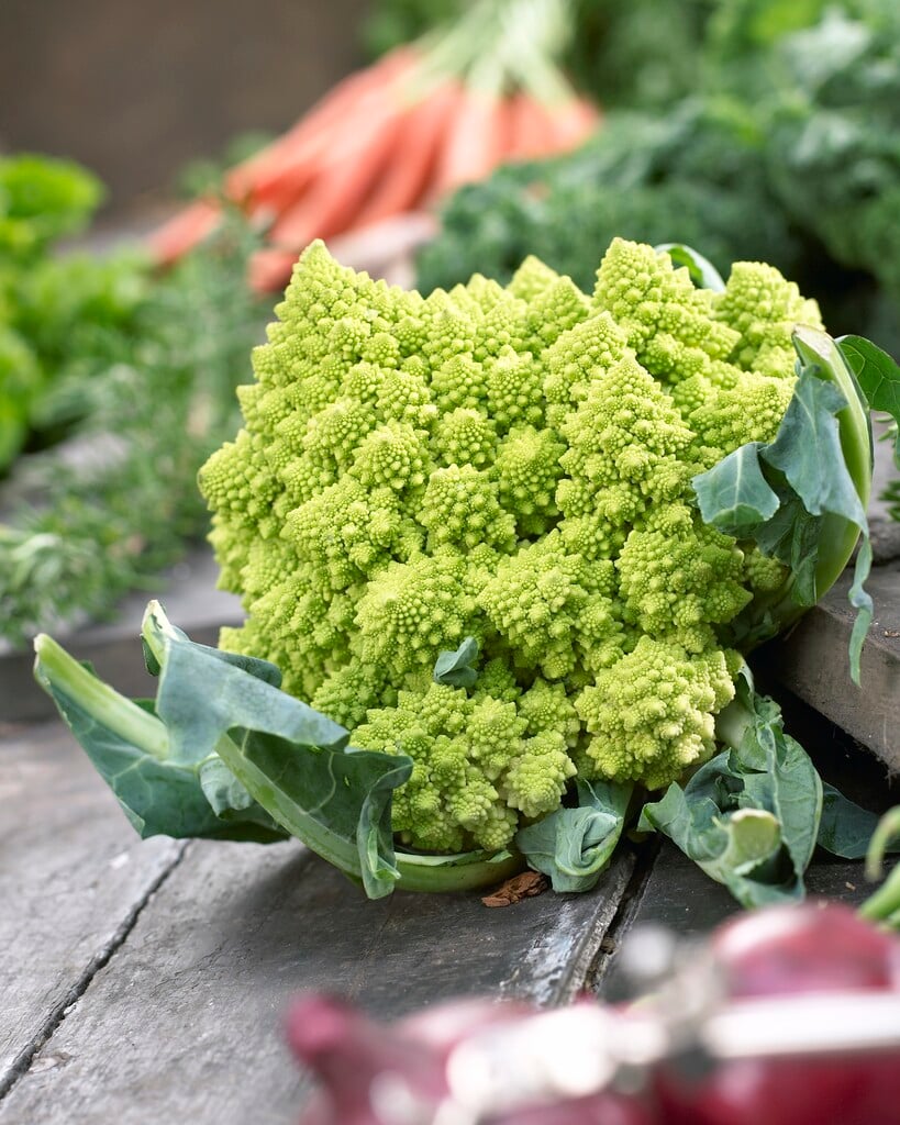 Romanesco Broccoli
