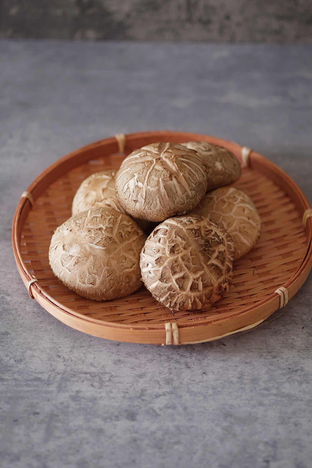 Shiitake Mushroom 鲜花菇