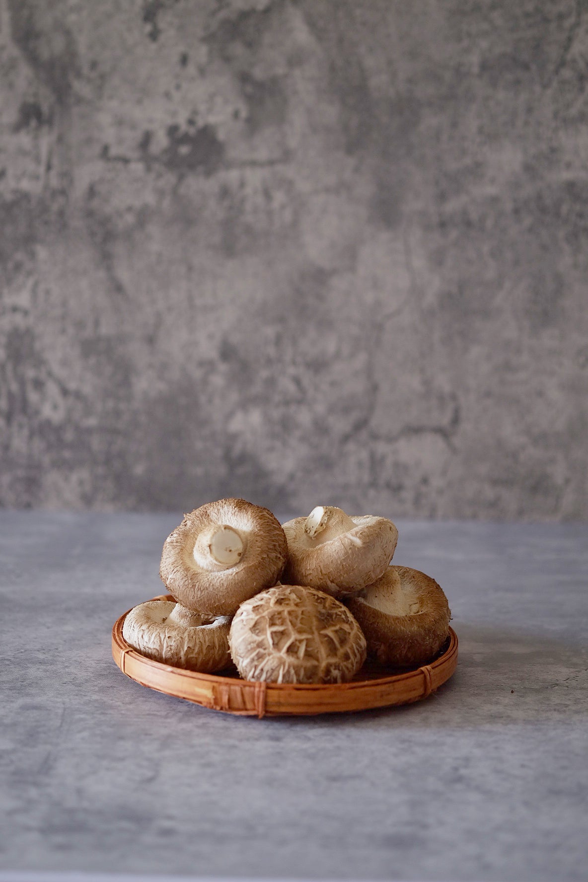 Shiitake Mushroom 鲜花菇