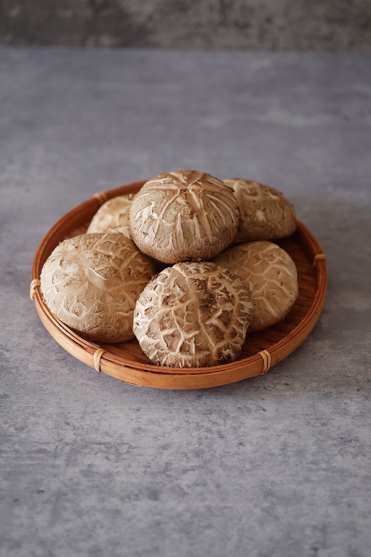 Shiitake Mushroom 鲜花菇